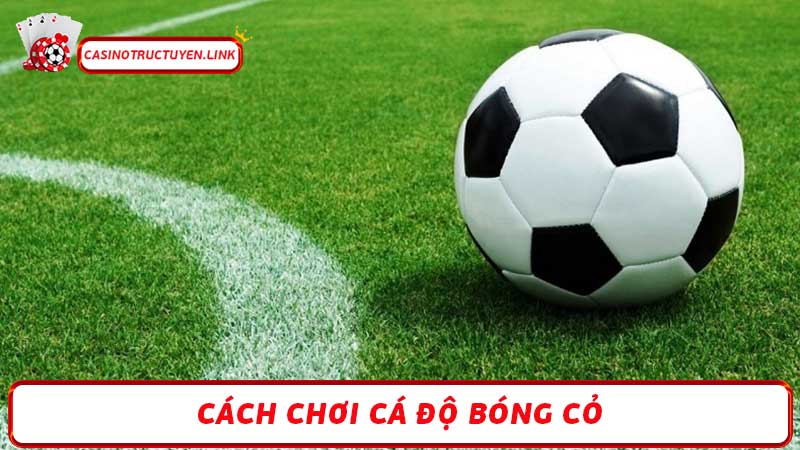 Cá độ bóng cỏ Những điều bạn cần biết trước khi đặt cược