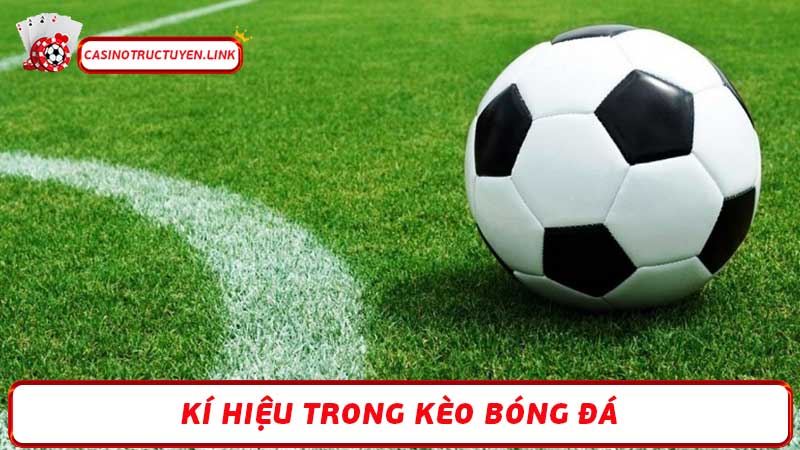 Kí hiệu trong kèo bóng đá Giải mã tất cả các loại cược