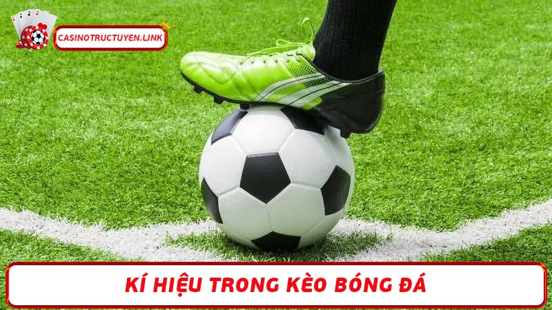 Kí hiệu trong kèo bóng đá Giải mã tất cả các loại cược