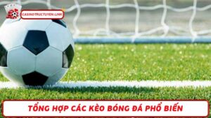 Tổng hợp các kèo bóng đá phổ biến phù hợp với mọi bet thủ