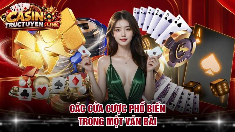 Các cửa cược phổ biến trong một ván bài